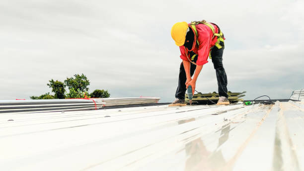 Best Sheet Metal Roofing  in Corcoran, MN